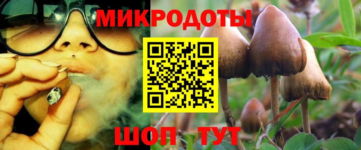 купить закладку  Вход с VPN  Оренбург  Псилоцибиновые грибы Psilocybe 