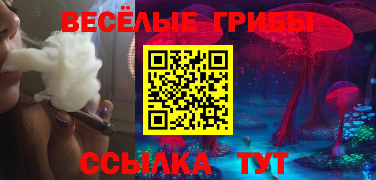 Псилоцибиновые грибы мухоморы Оренбург